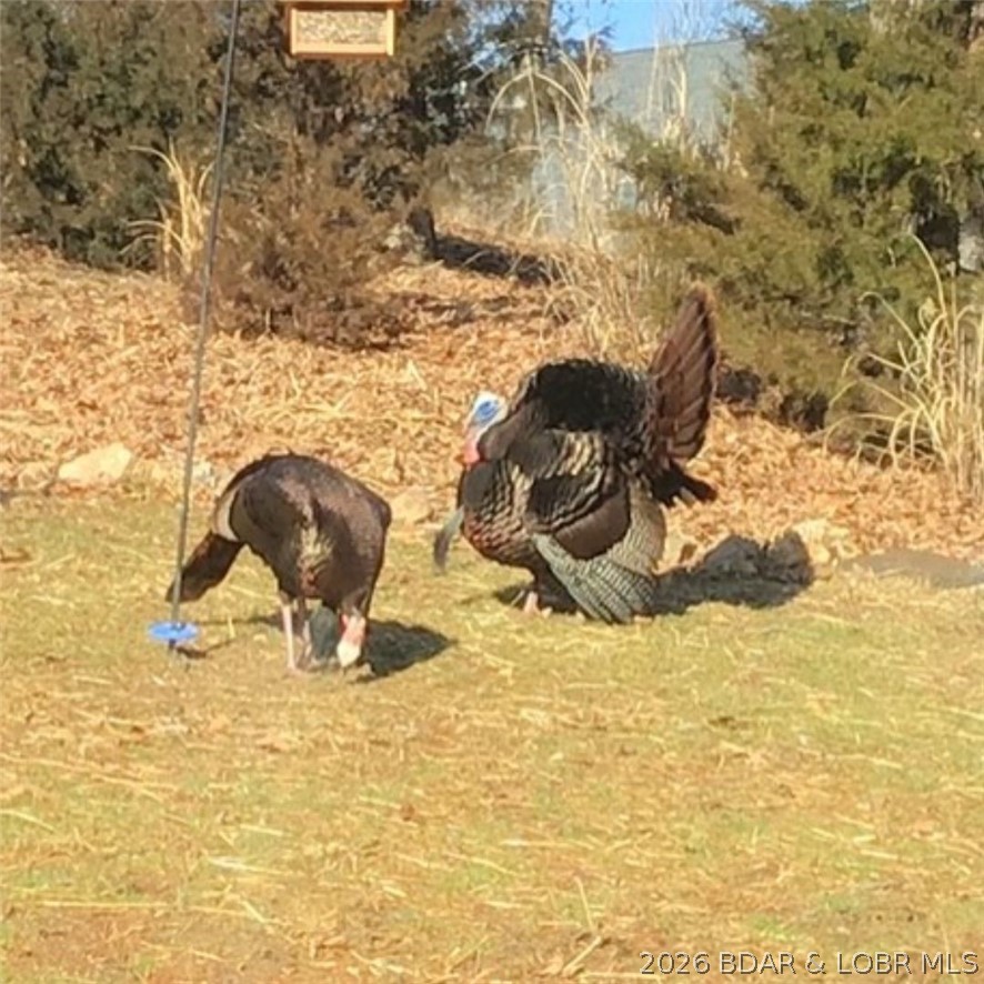 Viewpoint at the Shores - Residential