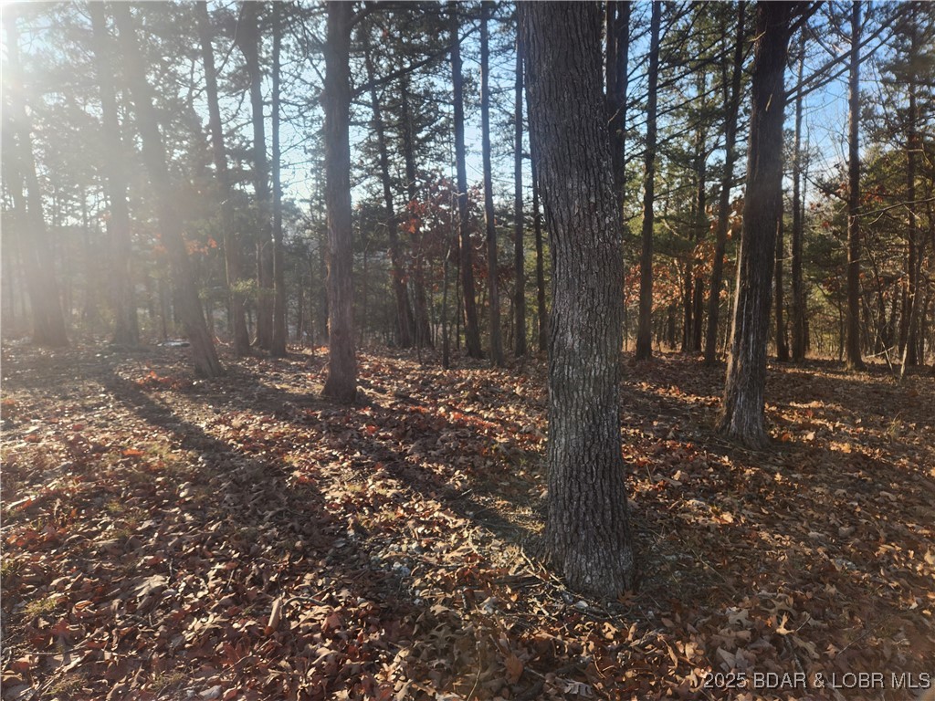 Tan-Tar-A Estates - Land