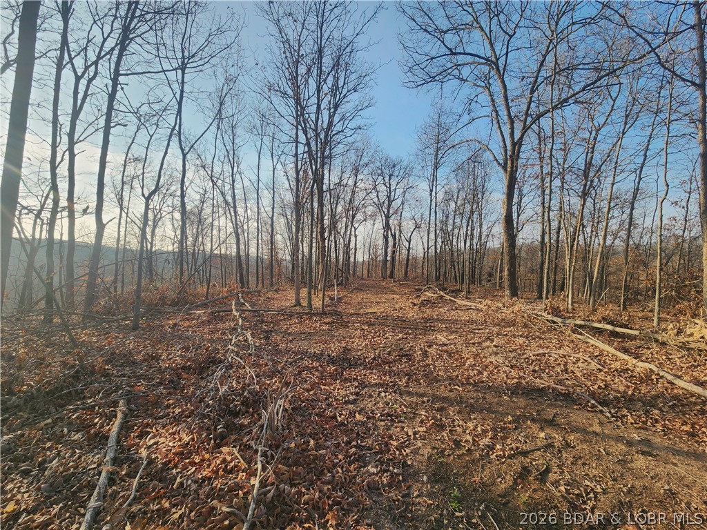 None - Land