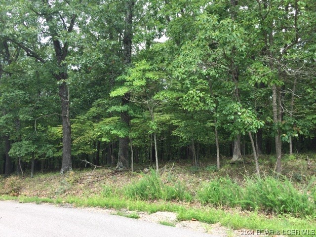 Camelot Estates - Land