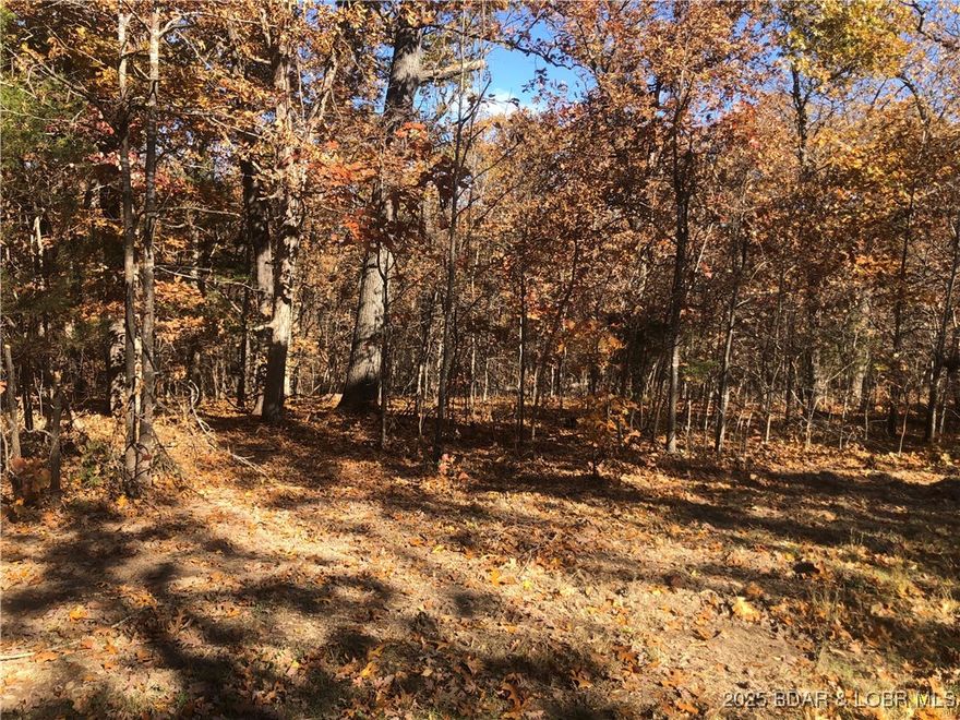 This 4.9 acres offers a great location to build that dream house. The property has ample space for that little homestead you have been looking to build. This property is located on a dead end rd and has plenty of space to do what you want . This would make a great weekend spot for the camper as well, endless opportunities with this one.