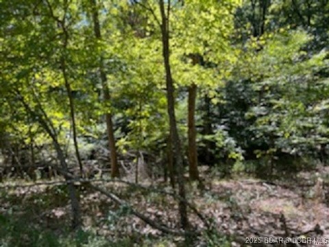 Kays Point #8 - Land