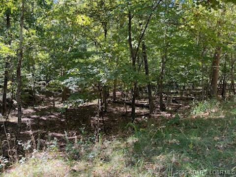 Kays Point #8 - Land