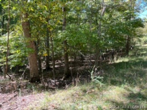 Kays Point #8 - Land