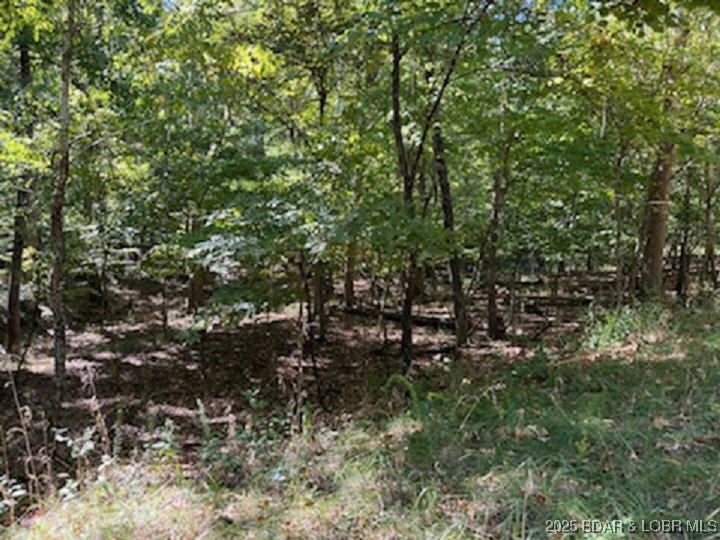 Kays Point #8 - Land