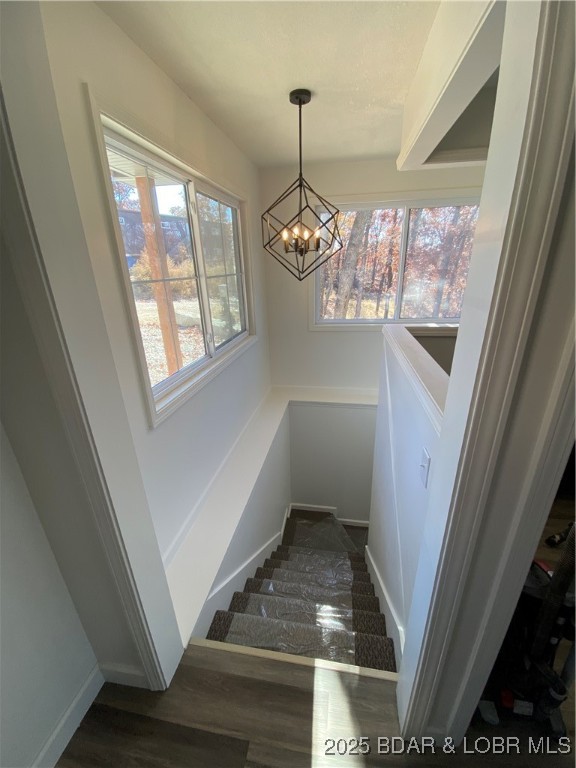 Cranes - Residential