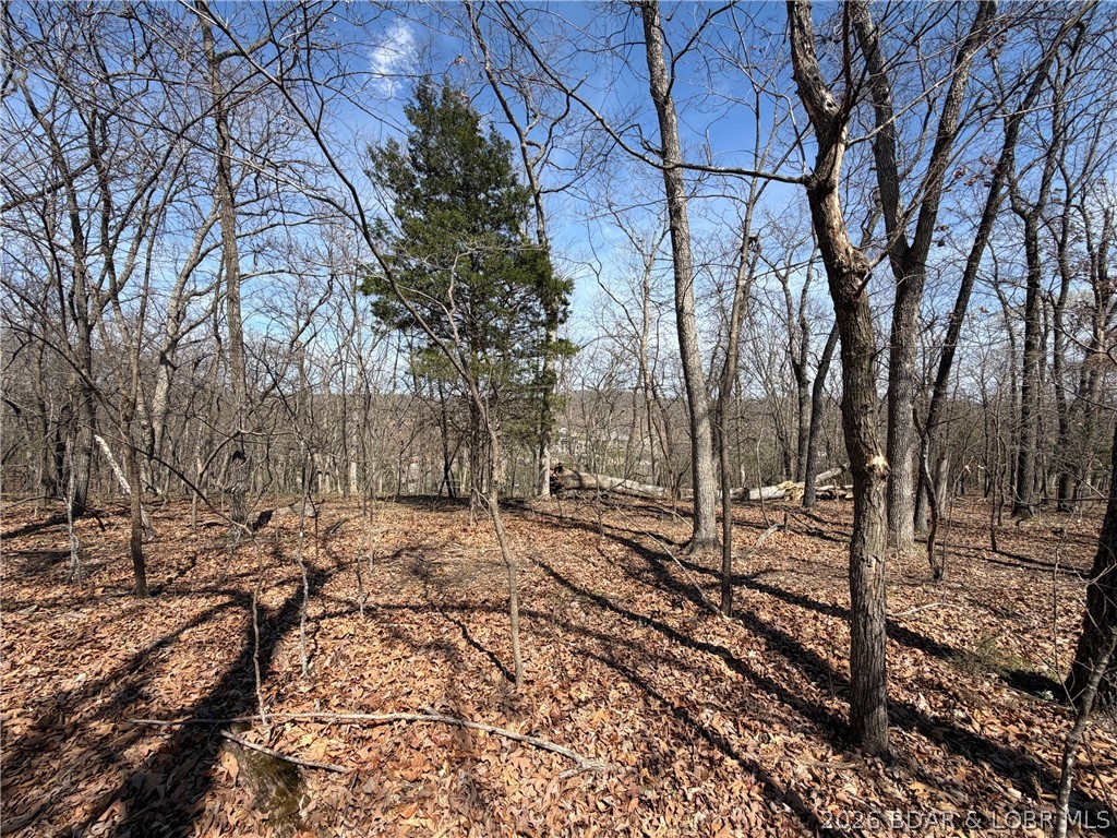Forestridge Village At Shawnee - Land