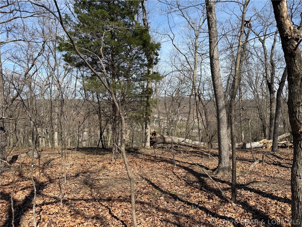 Forestridge Village At Shawnee - Land