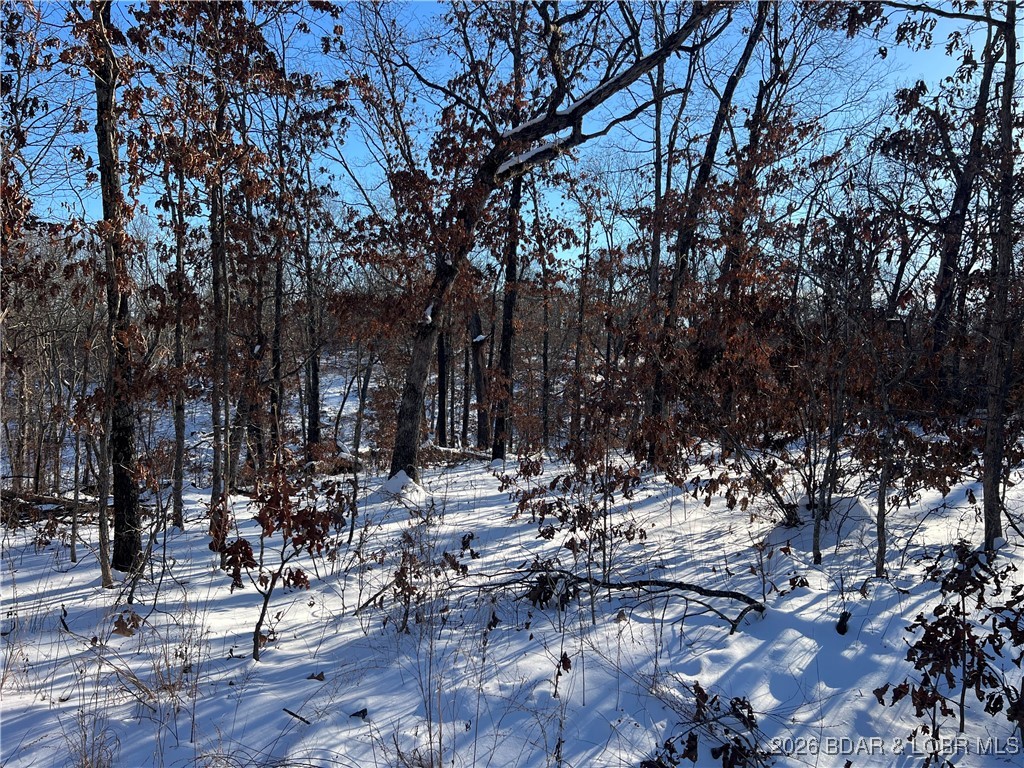 Whispering Oaks - Land