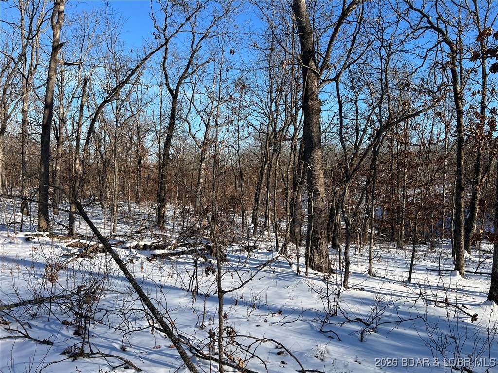 Whispering Oaks - Land