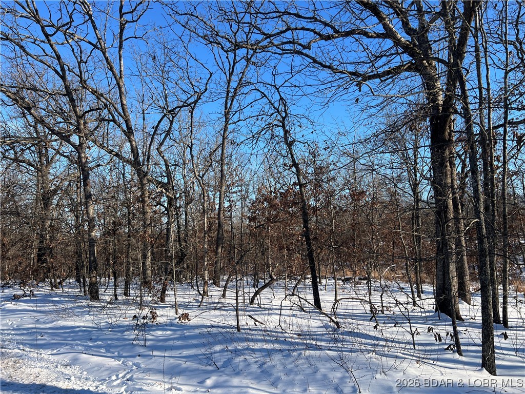 Whispering Oaks - Land