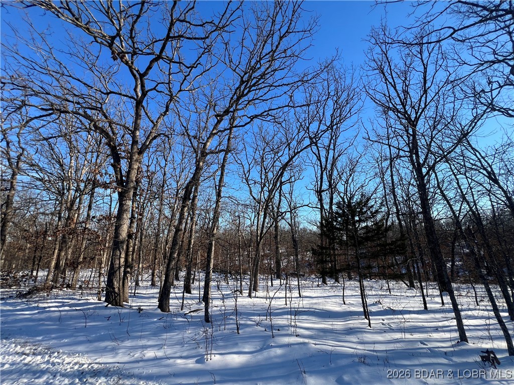 Whispering Oaks - Land