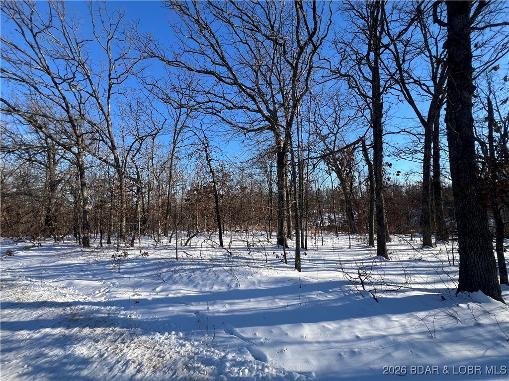 Whispering Oaks - Land