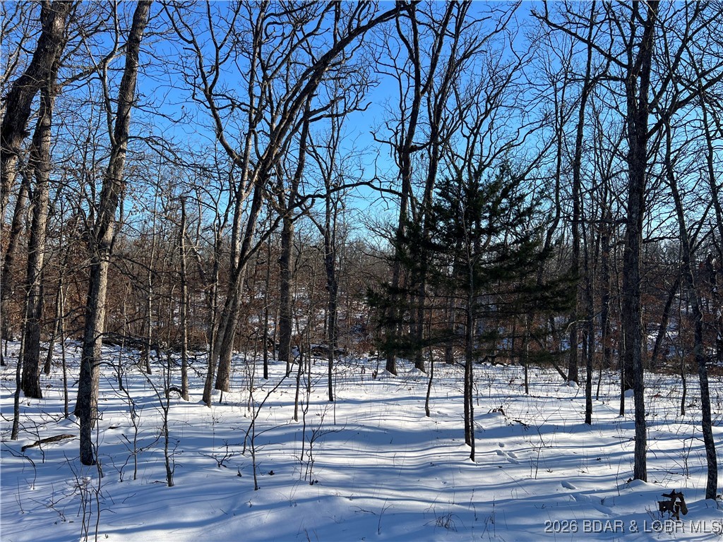 Whispering Oaks - Land