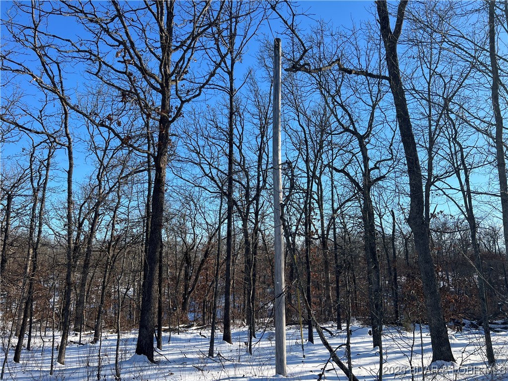 Whispering Oaks - Land