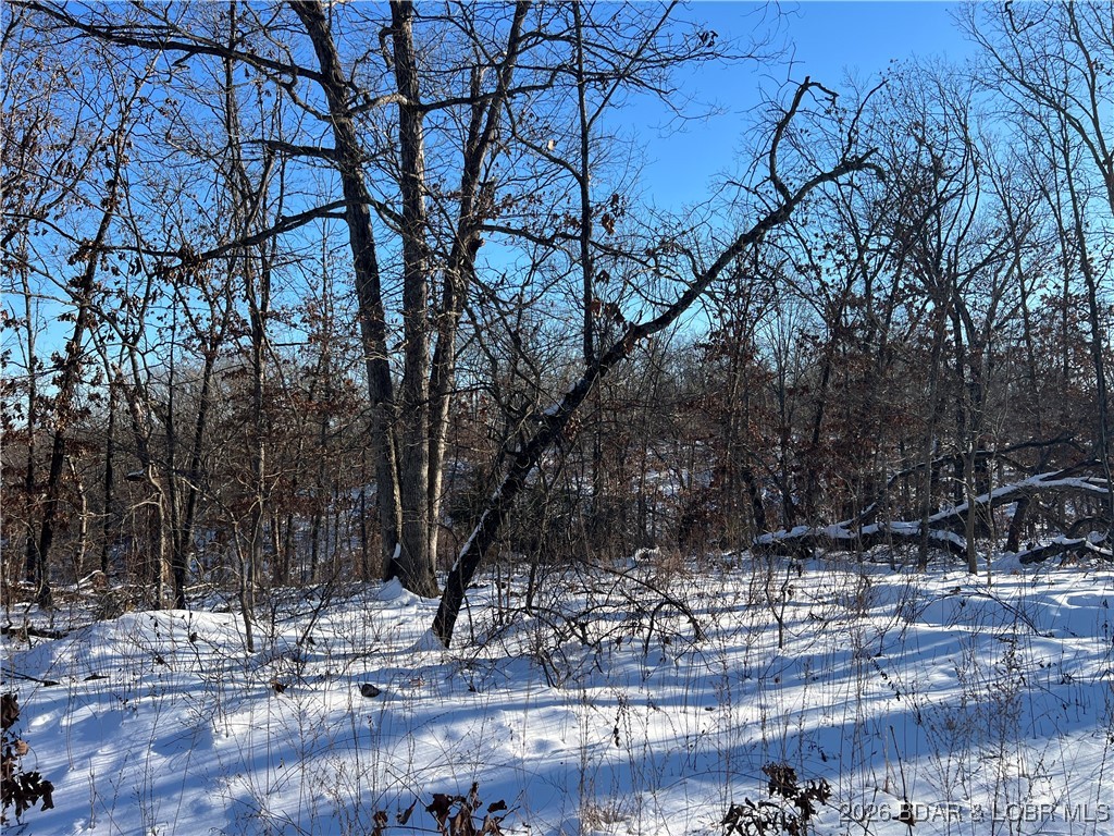 Whispering Oaks - Land