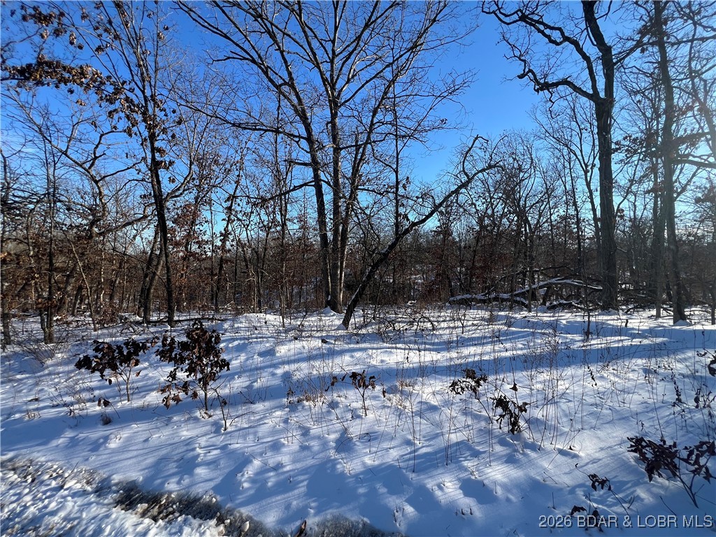 Whispering Oaks - Land