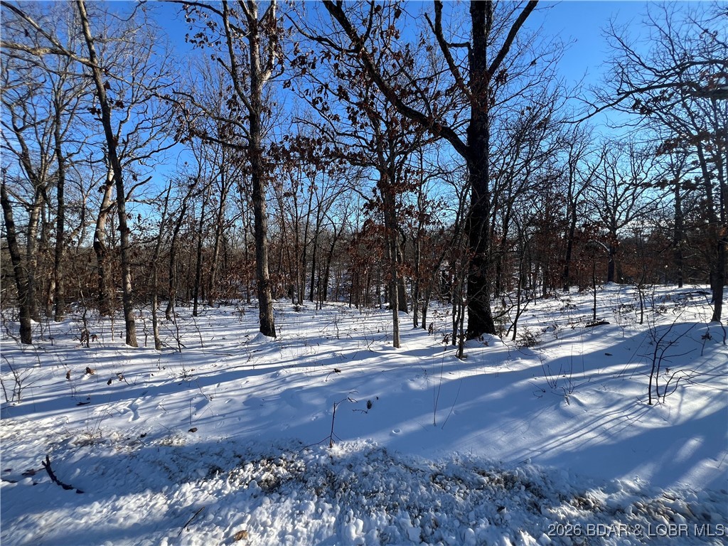 Whispering Oaks - Land