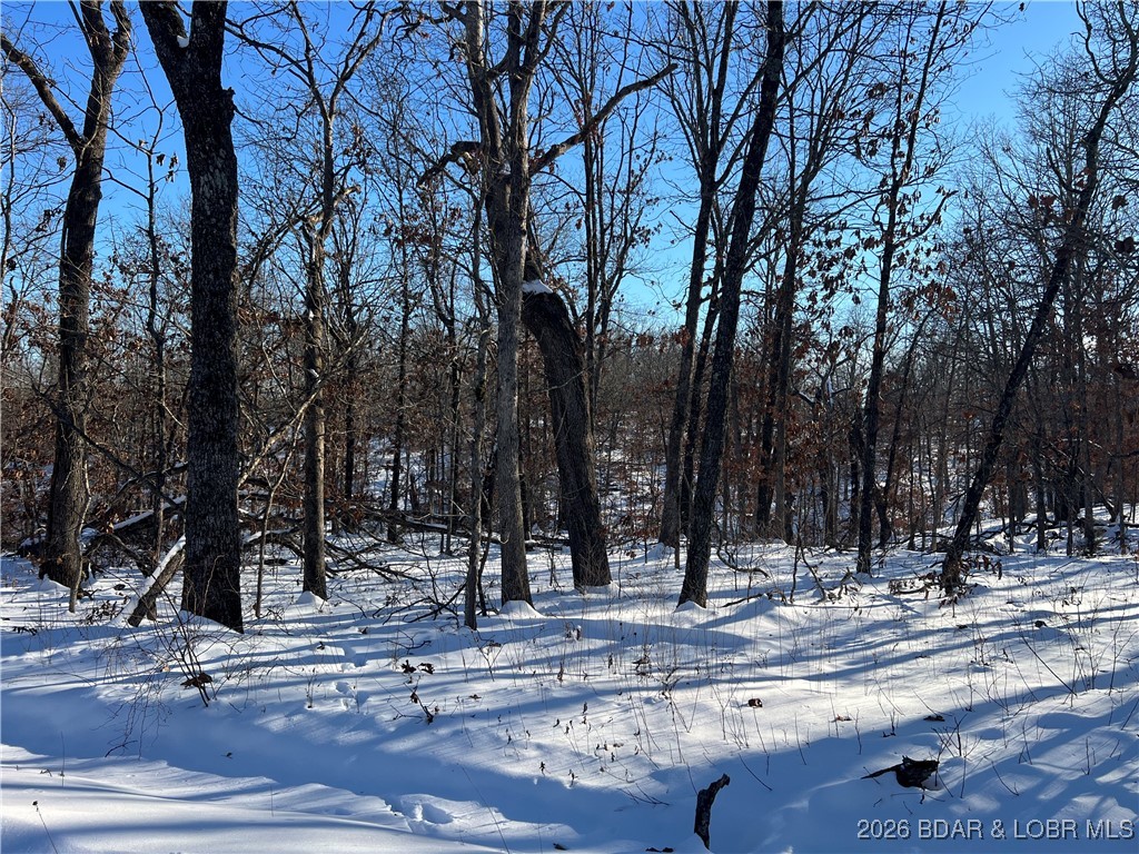 Whispering Oaks - Land