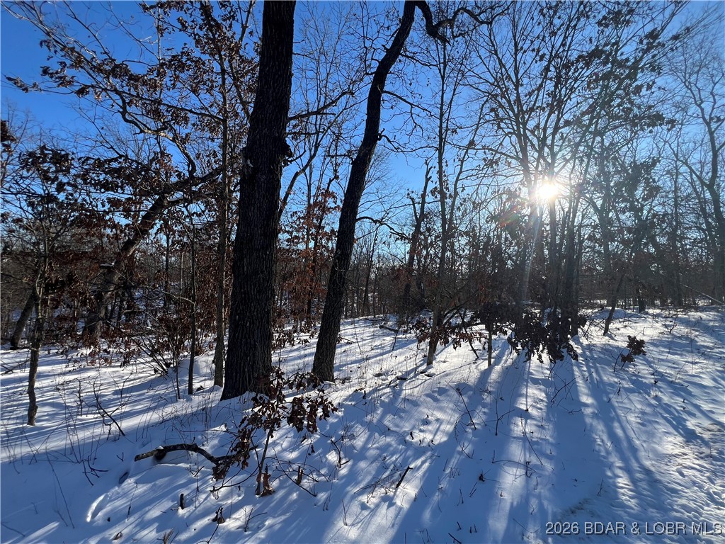 Whispering Oaks - Land