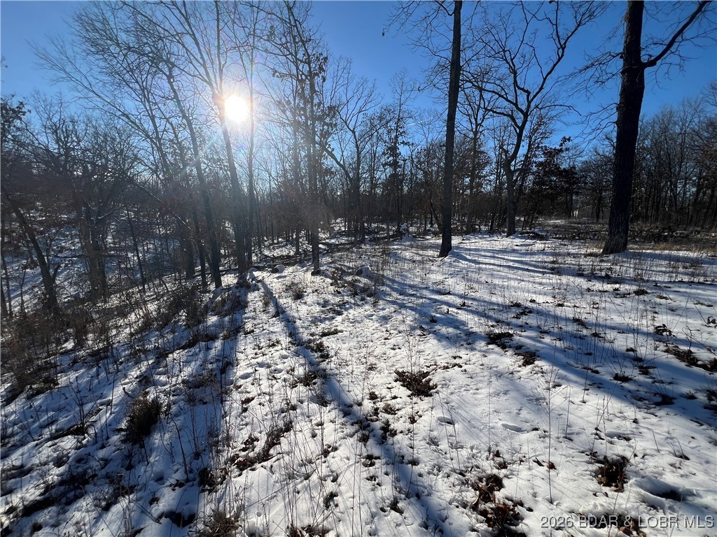 Whispering Oaks - Land