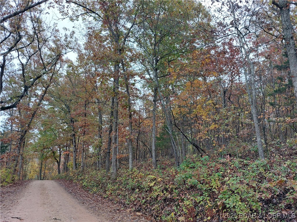 Clearwater Beach - Land