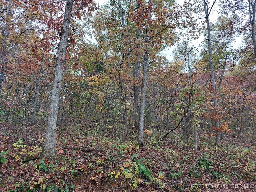 Clearwater Beach - Land