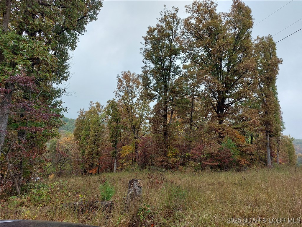 Clearwater Beach - Land
