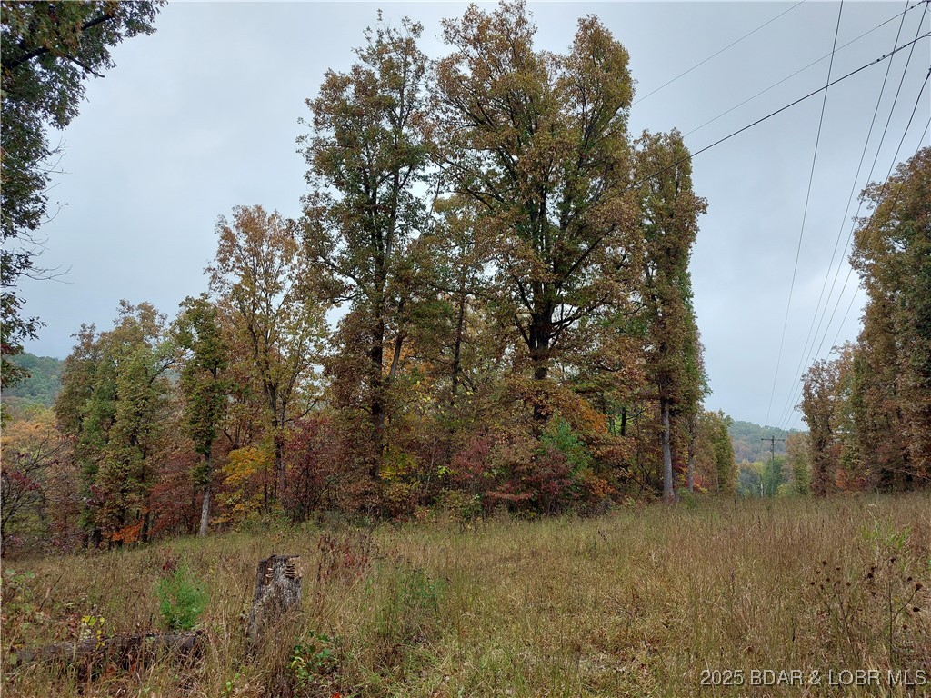 Clearwater Beach - Land