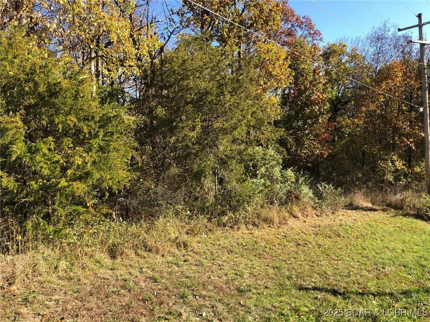 Wooded acreage, located in Versailles city limits. 2.73 m/l acres located on S VanBuren St. this property would make a beautiful place to possibly build your home/shop or for future development property. City lots in Versailles are few and far between. Priced to sell schedule your appointment today.