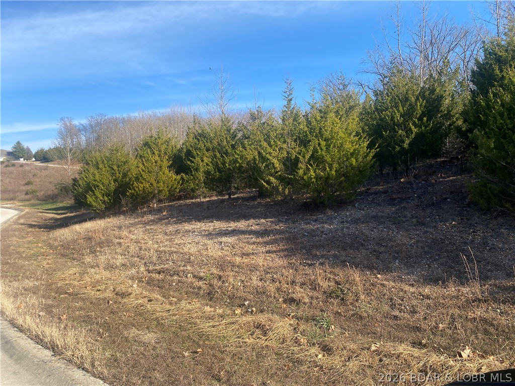 Country Club Cove - Land