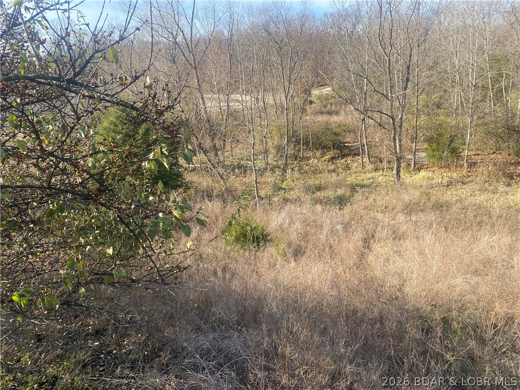 Country Club Cove - Land