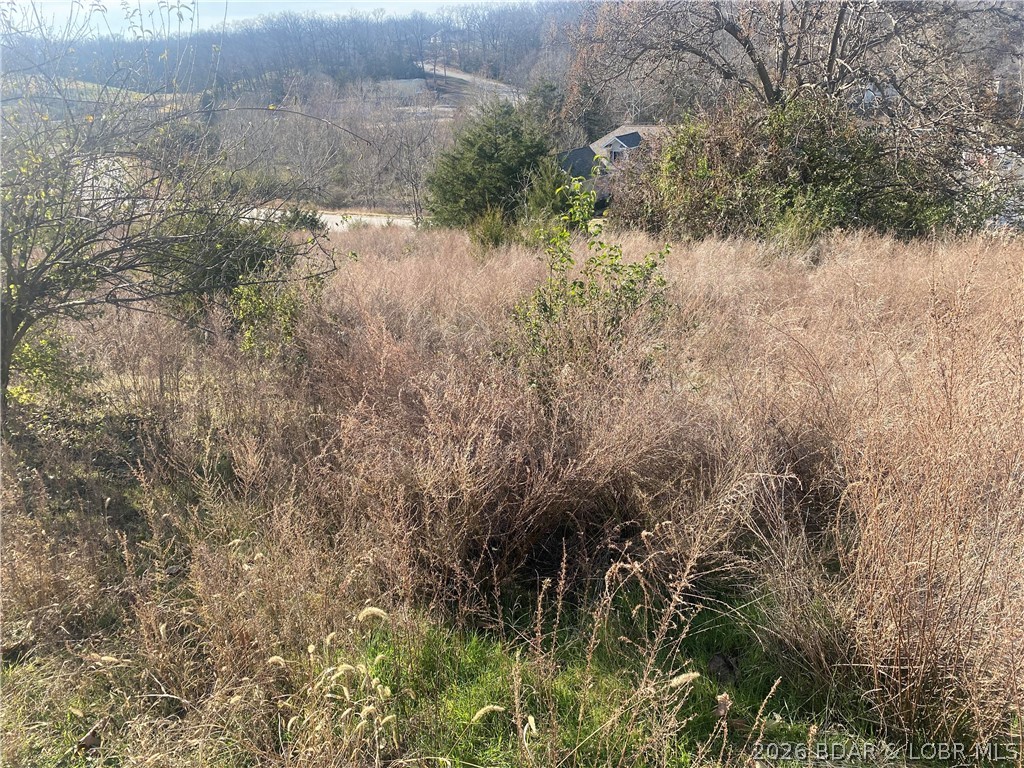 Country Club Cove - Land