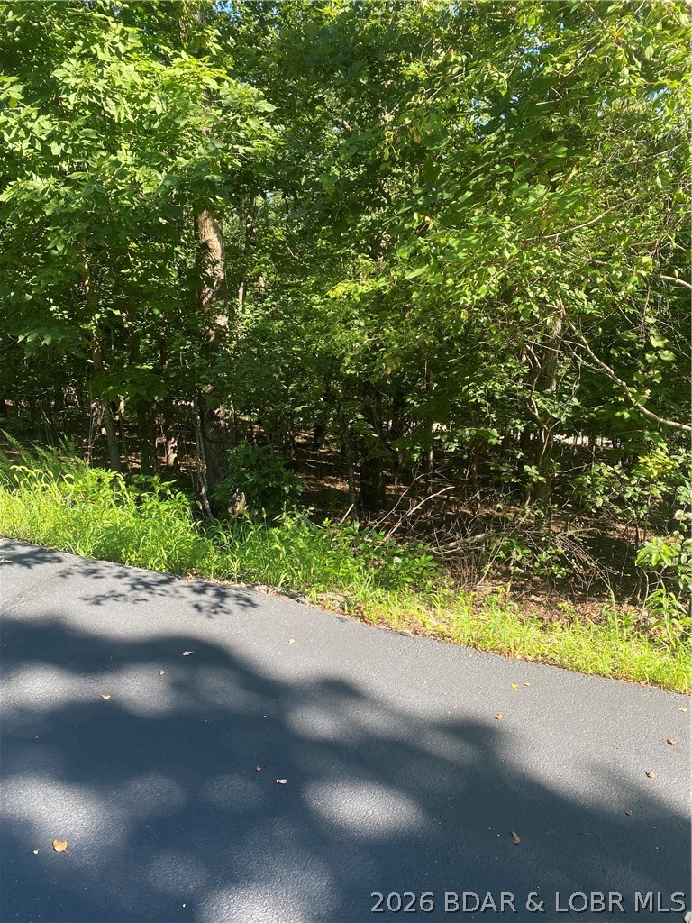 Champions Run - Land