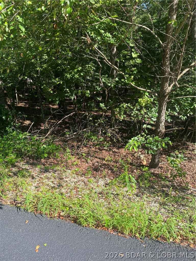 Champions Run - Land