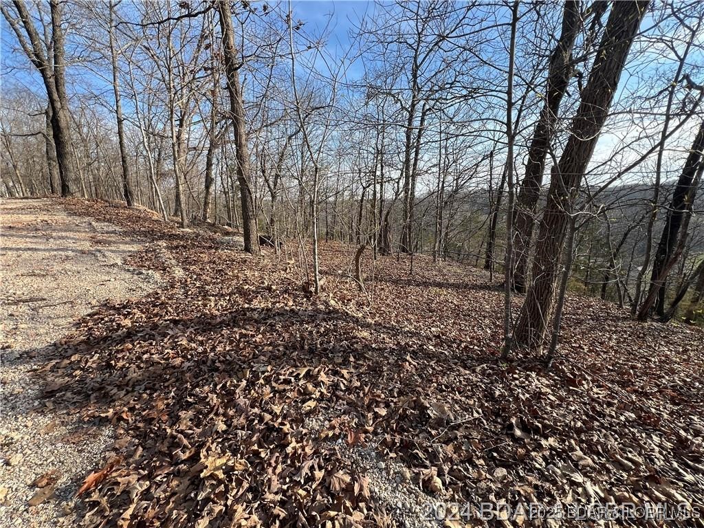 Camelot Estates - Land