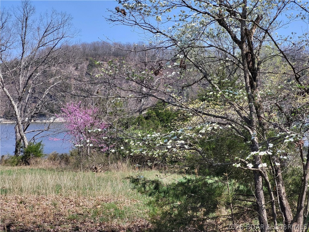 Emerald Hills - Land
