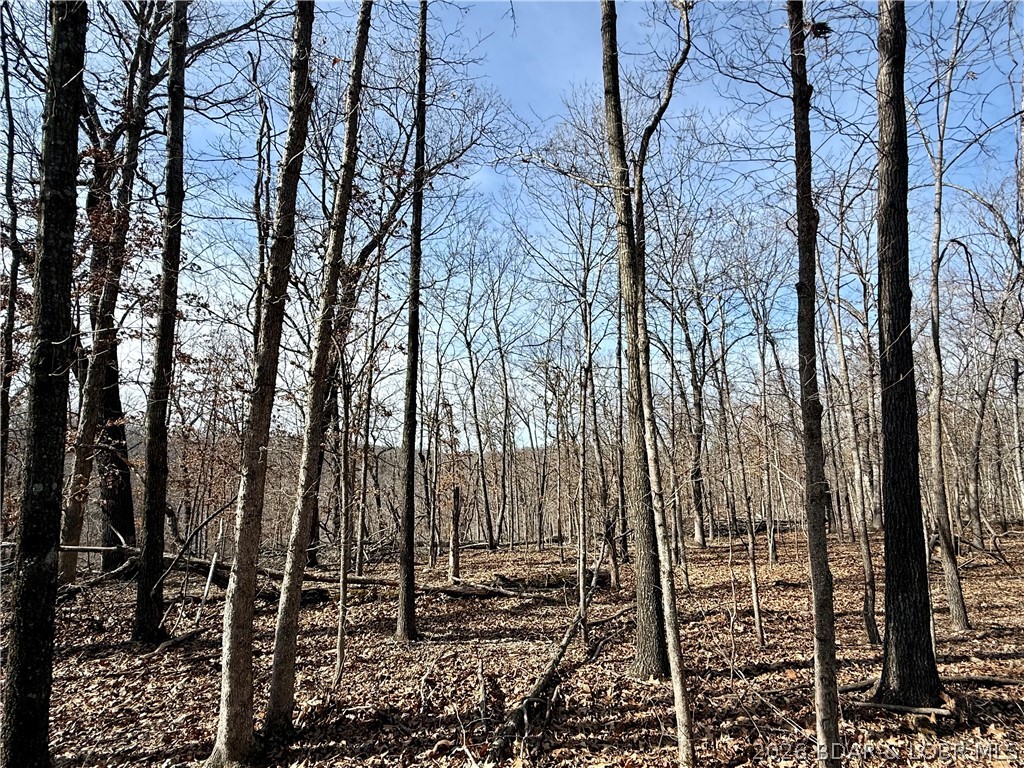 Coffman Bend #1 - Land