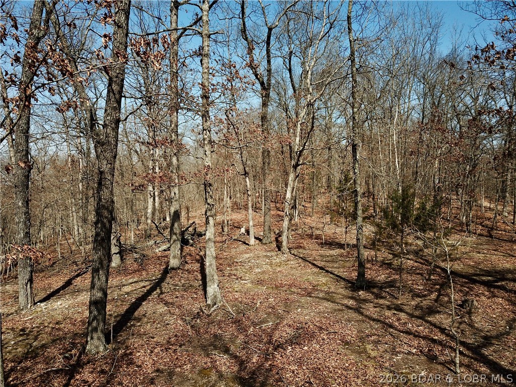 Coffman Bend #1 - Land