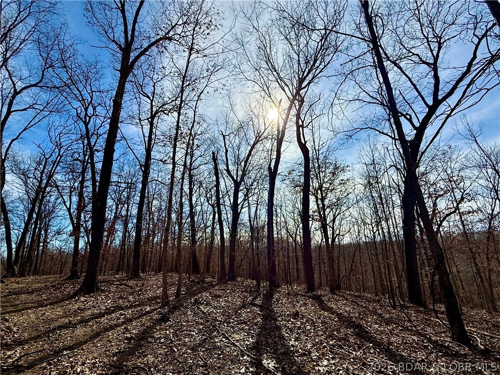 Coffman Bend #1 - Land