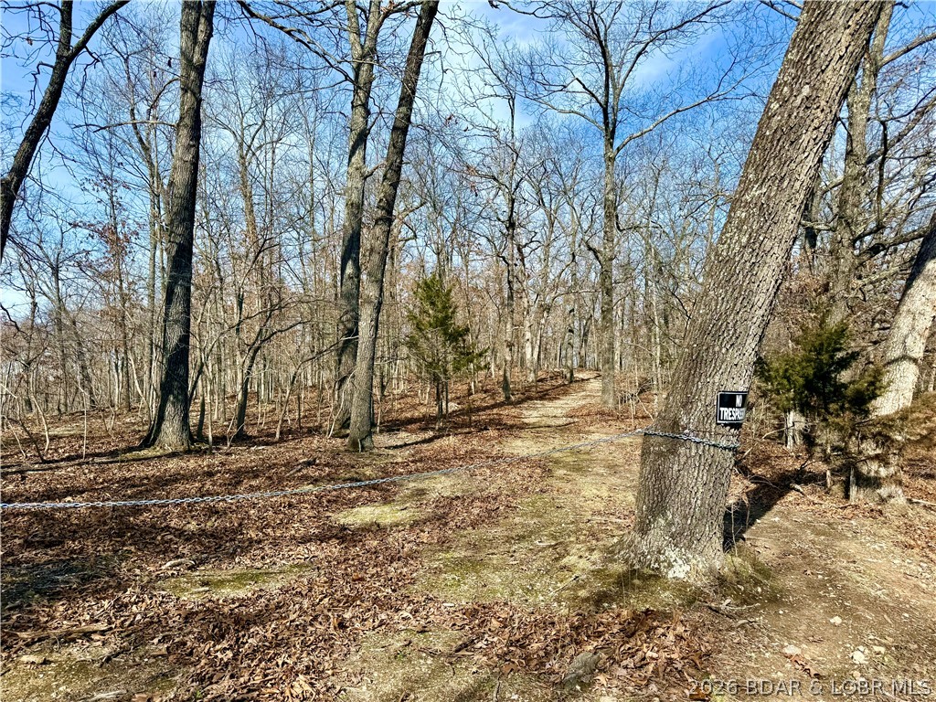 Coffman Bend #1 - Land