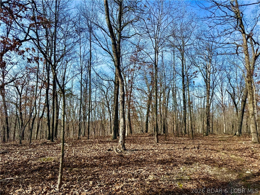 Coffman Bend #1 - Land