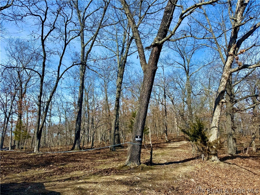 Coffman Bend #1 - Land