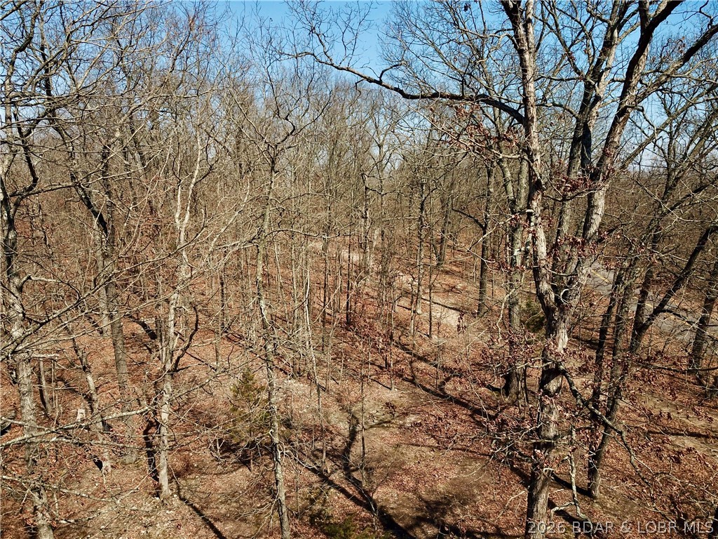 Coffman Bend #1 - Land