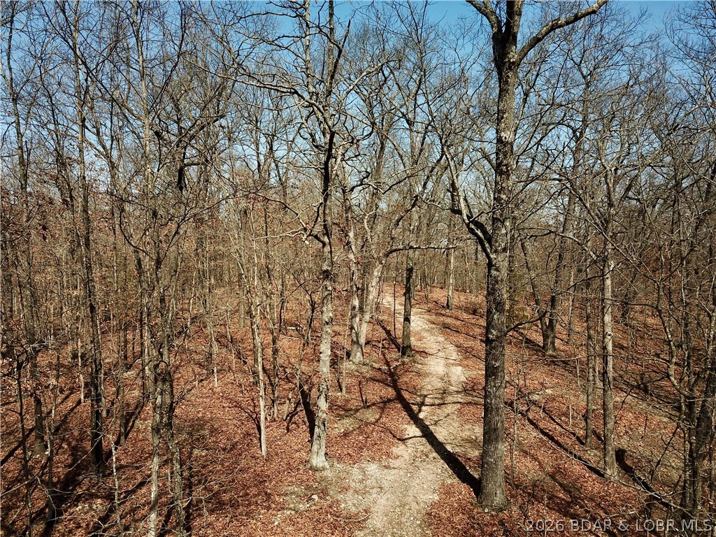 Coffman Bend #1 - Land