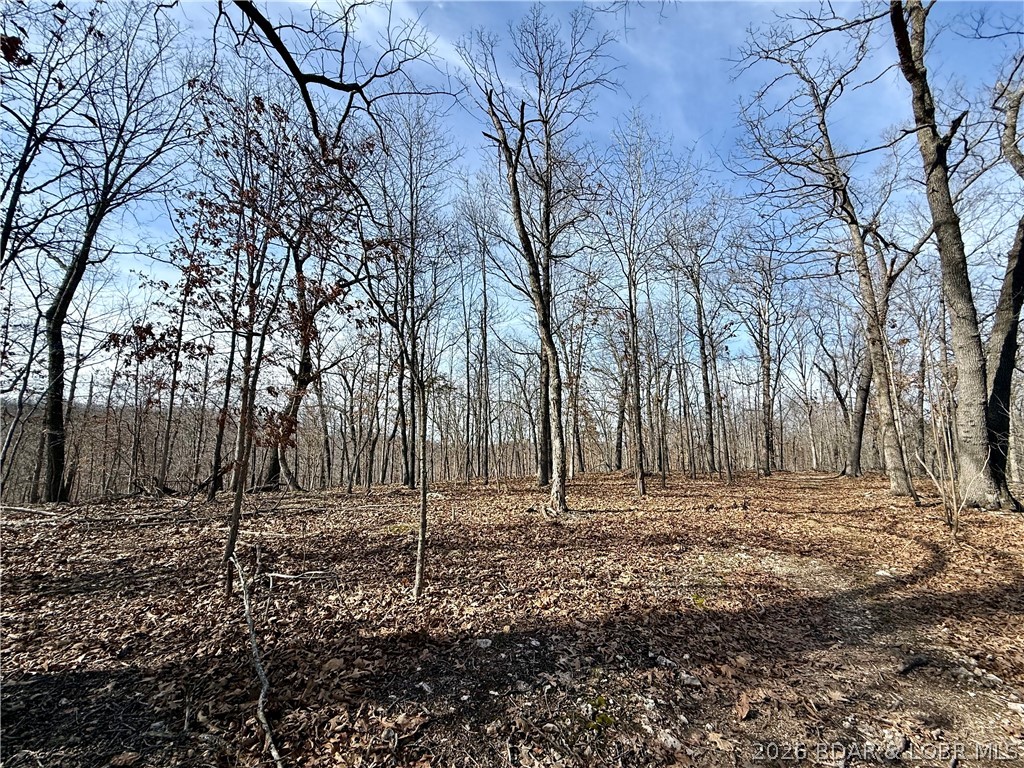 Coffman Bend #1 - Land