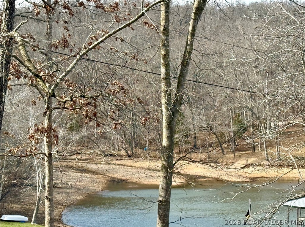 Coffman Bend #1 - Land