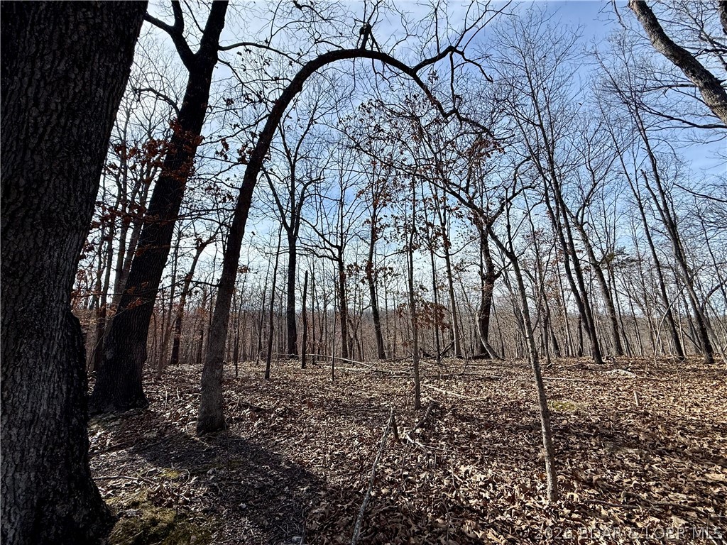 Coffman Bend #1 - Land