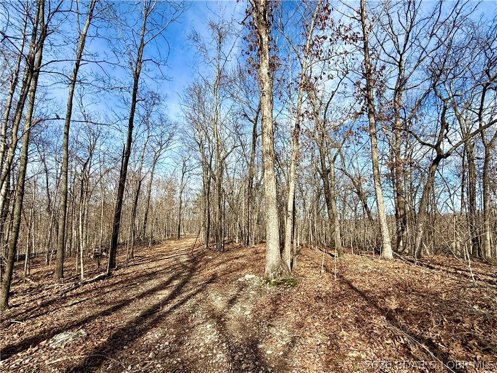 Coffman Bend #1 - Land