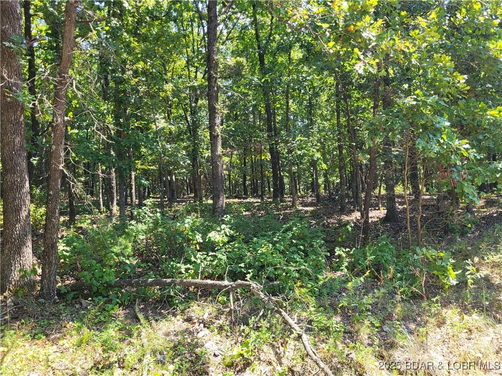 Forbes Lake of the Ozarks - Land